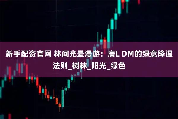 新手配资官网 林间光晕漫游：唐L DM的绿意降温法则_树林_阳光_绿色
