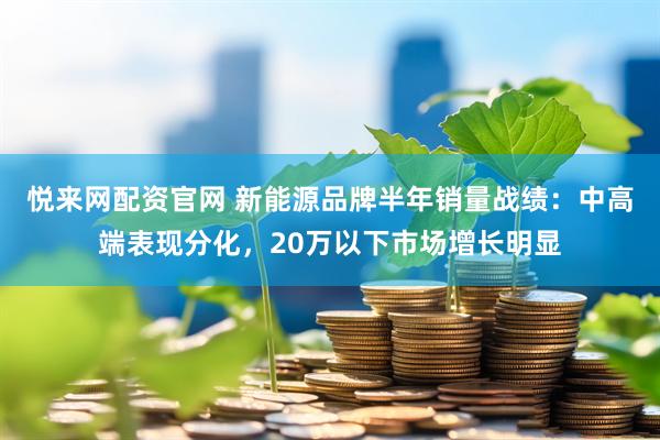 悦来网配资官网 新能源品牌半年销量战绩：中高端表现分化，20万以下市场增长明显