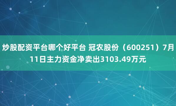 炒股配资平台哪个好平台 冠农股份（600251）7月11日主力资金净卖出3103.49万元