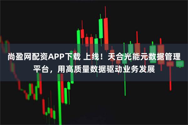尚盈网配资APP下载 上线！天合光能元数据管理平台，用高质量数据驱动业务发展