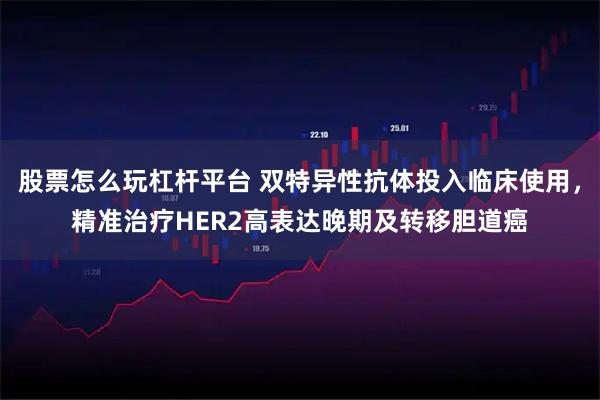 股票怎么玩杠杆平台 双特异性抗体投入临床使用，精准治疗HER2高表达晚期及转移胆道癌